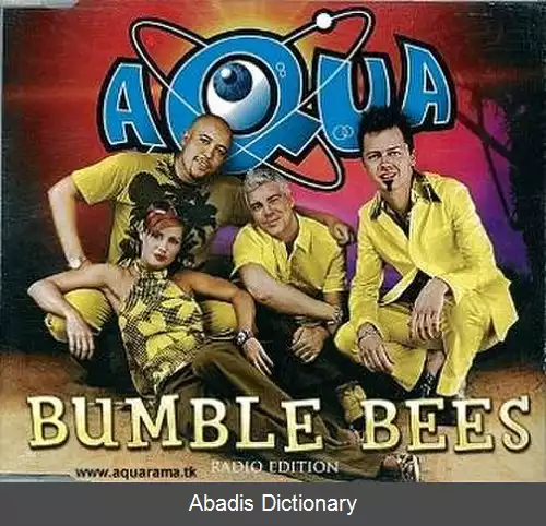 عکس زنبورهای عسل (ترانه)