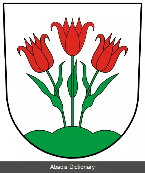 عکس کرچلیگت