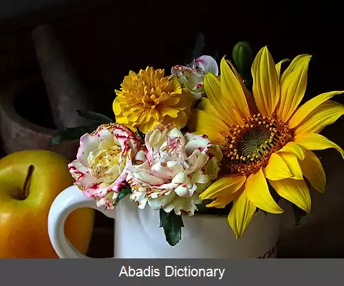 عکس عکاسی طبیعت بی جان