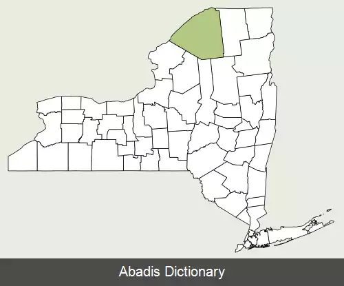 عکس زنبق کاکلی