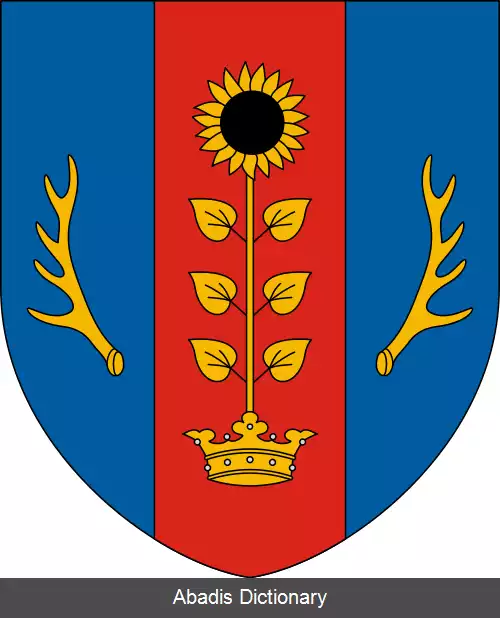 عکس زیچی اوی فالو