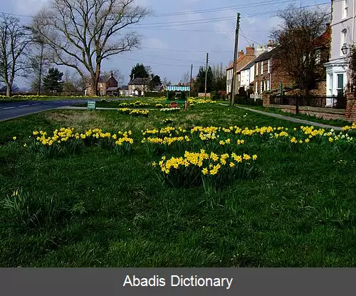 عکس فلکستون یورک شر شمالی