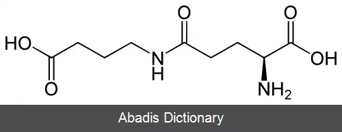 عکس ۴ (گاما گلوتامیل آمینو) بوتانوئیک اسید