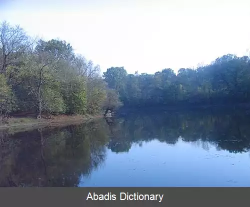 عکس استودوا