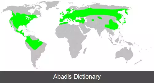 عکس سمندر کردستانی