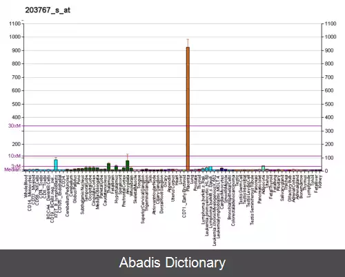 عکس استروئید سولفاتاز