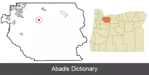 عکس استکادا اورگن