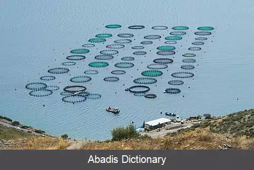 عکس کشاورزی دریایی