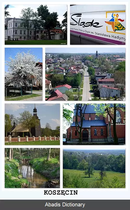 عکس کوشنچین