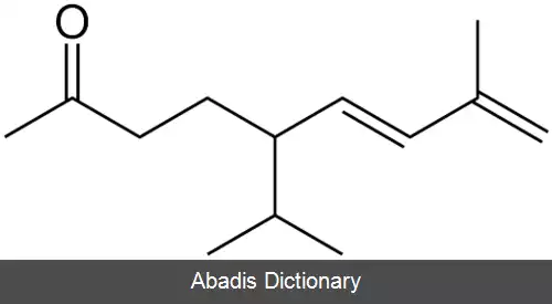 عکس سولانون
