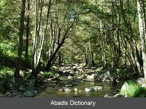 عکس رود کارمل