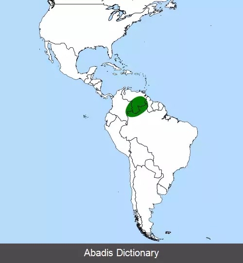 عکس کوزه مرداب ها