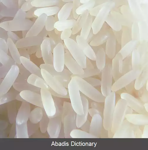 عکس برنج