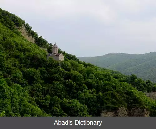 عکس بودورنا