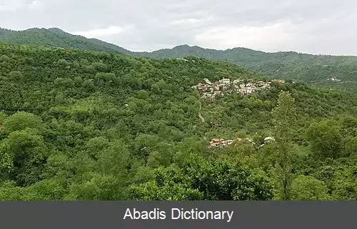 عکس ازارکی