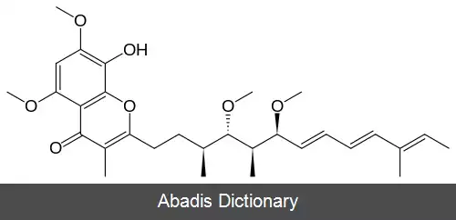 عکس استیگماتلین