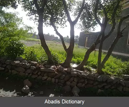 عکس درسمند
