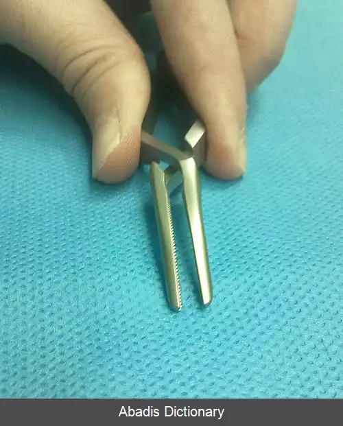 عکس کلمپ بولداگ