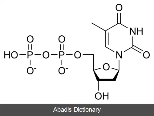 عکس تیمیدین دی فسفات