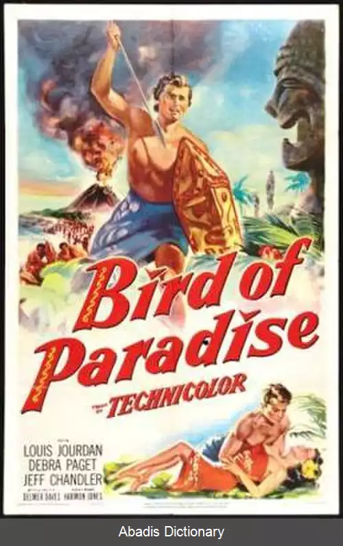 عکس مرغ بهشت (فیلم ۱۹۵۱)