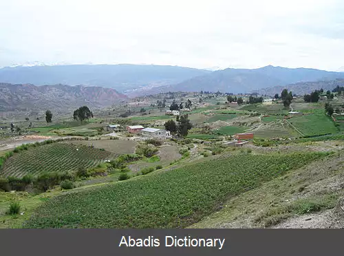 عکس اچوکالا مینوسیپالتی