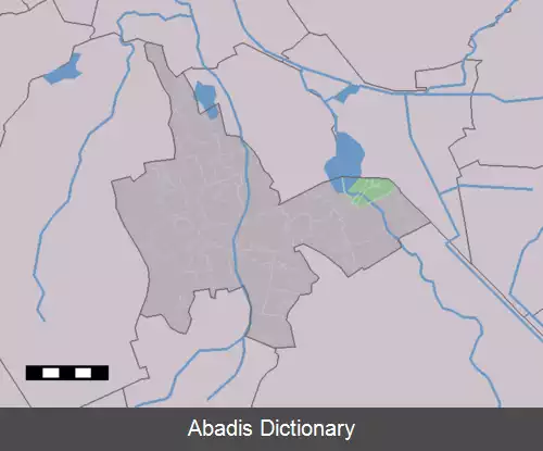 عکس دی گروو