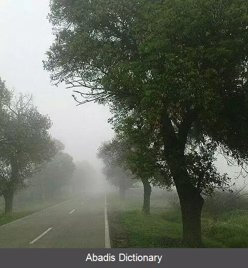 عکس سعیدیه (زبرخان)