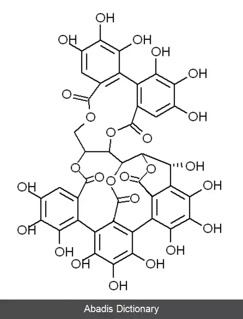 عکس کاستالاجین