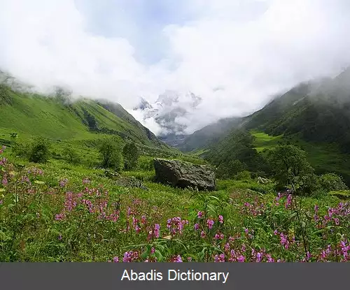 عکس پارک ملی دره گلها