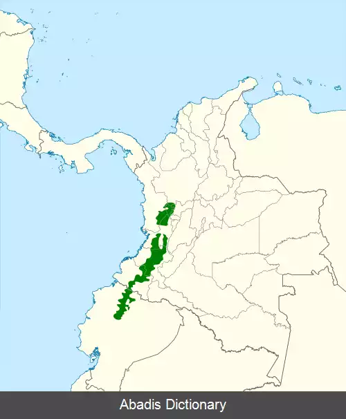 عکس ریش مرغ توکانی