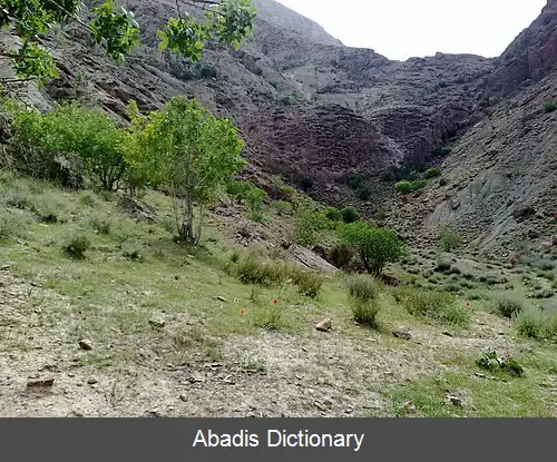 عکس استند جدید