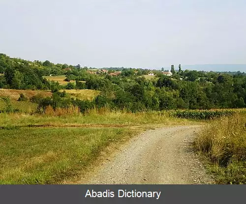 عکس دویانه