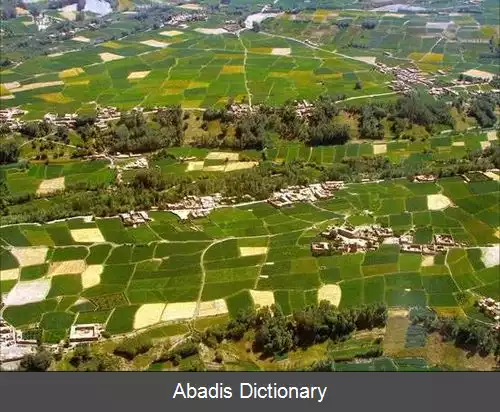 عکس کشاورزی در افغانستان
