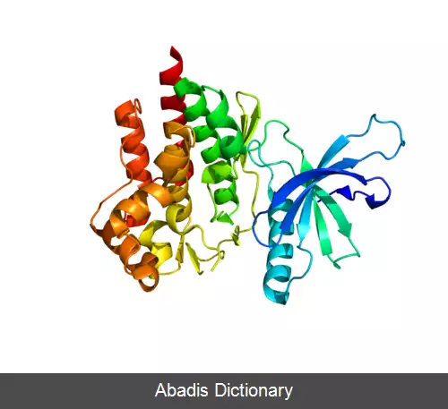 عکس تیروزین کیناز ۲
