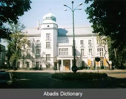 عکس یاووژنو