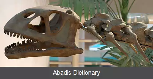 عکس بلوسور