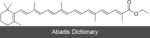 عکس فود اورنج ۷