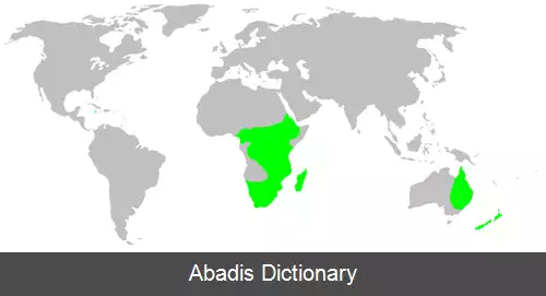 عکس عنکبوت های لحاف دوز درختی