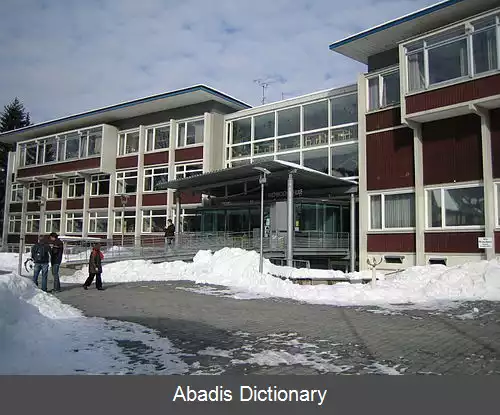 عکس فورت وانگن