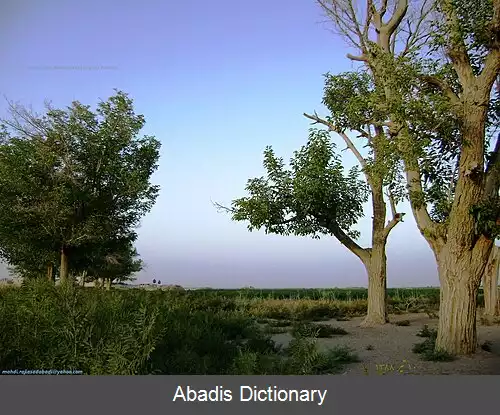 عکس اسدآباد اسفندآباد