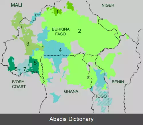 عکس زبان های گور
