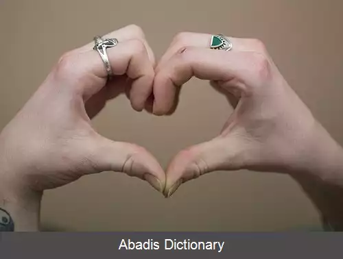 عکس قلب دست