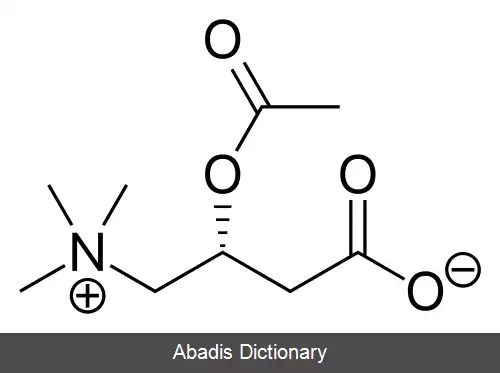 عکس استیل کارنیتین