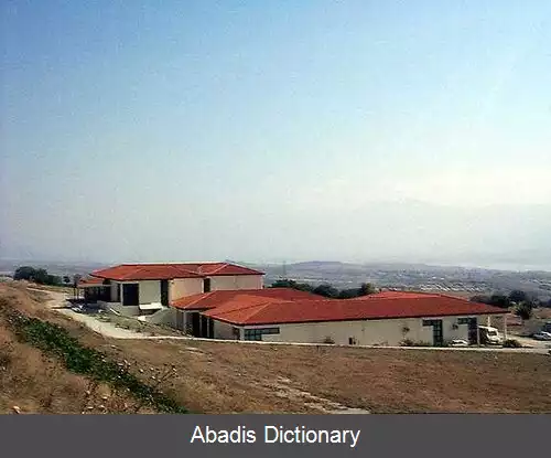 عکس آیانی