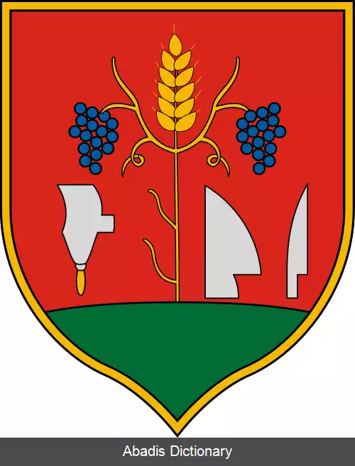 عکس کوروش هدی