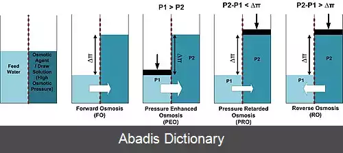 عکس اسمز مستقیم