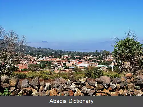 عکس زینتزونتزن میچکان