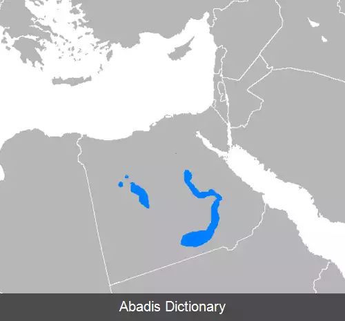 عکس عربی صعیدی