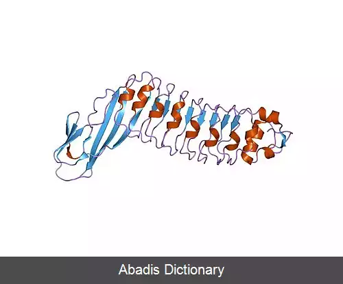 عکس تکرار غنی از لوسین