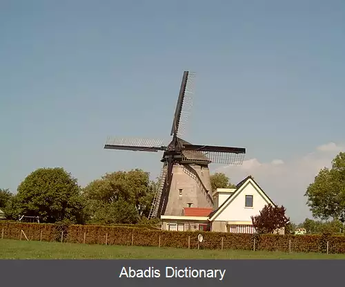 عکس زیده ویند